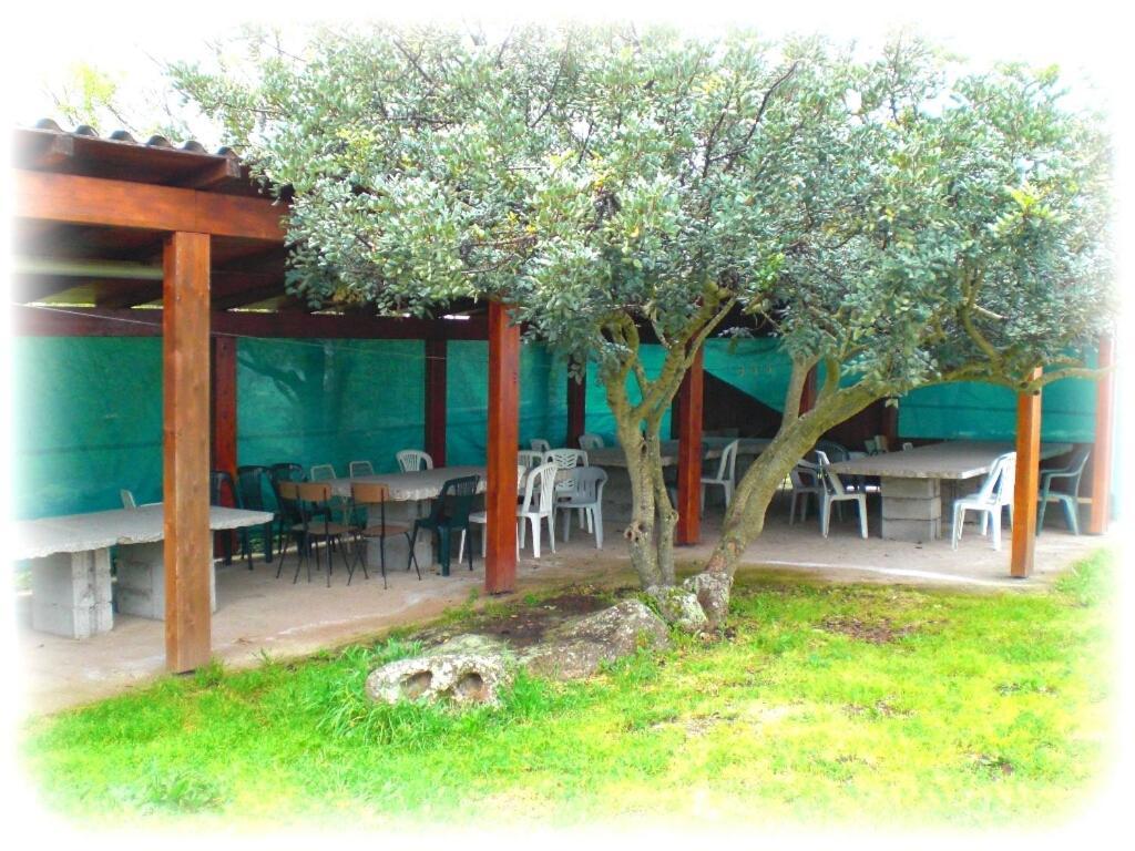 Agriturismo Pentuma Chiaramonti Exteriör bild