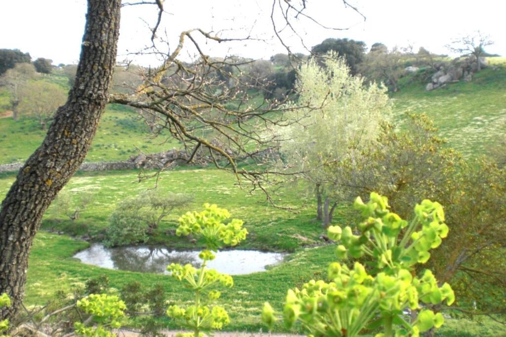 Agriturismo Pentuma Chiaramonti Exteriör bild